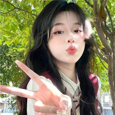 西部战线